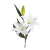 32 Lilia Icon