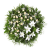 41 Wieniec2 Icon