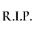 55 Rip Icon